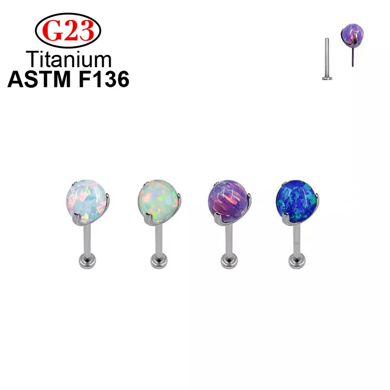 Body Jewelry Implant Grade Titanium - Stud Oorbellen G23 Mode Piercing Sieraden