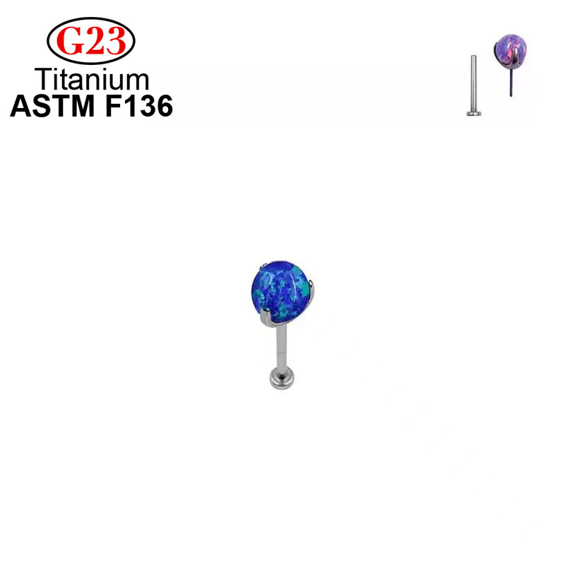 Stud Oorbellen G23 Mode Pierci - Body Jewelry Implant Grade Titanium recensie en prijs
