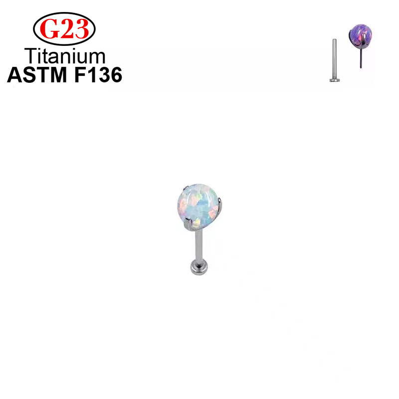 Stud Oorbellen G23 Mode Pierci - Body Jewelry Implant Grade Titanium recensie en prijs