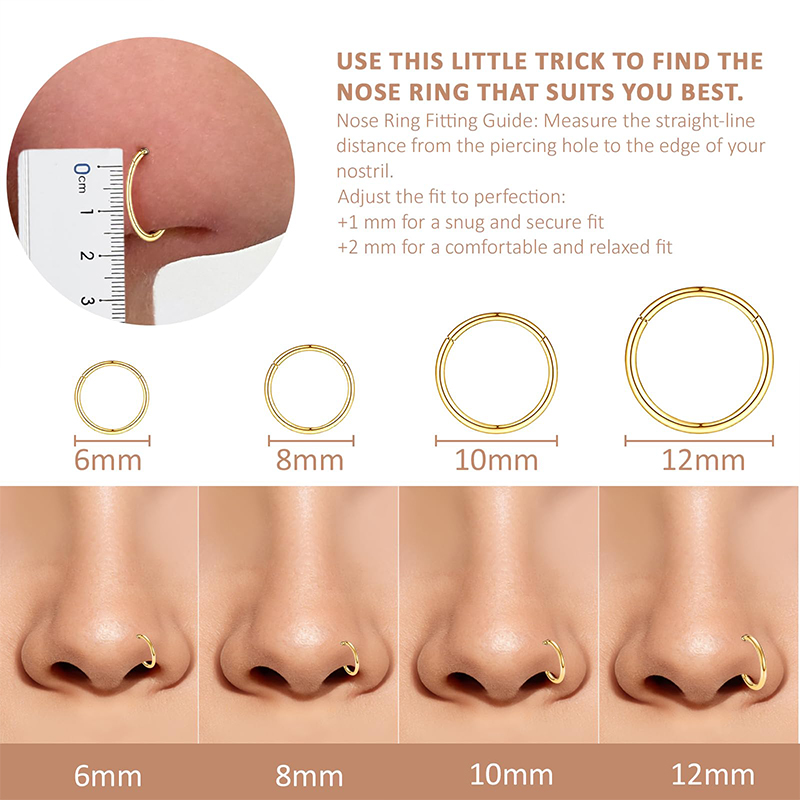 16G 316L Chirurgisch staal Sch - Body Jewelry Nose recensie en prijs