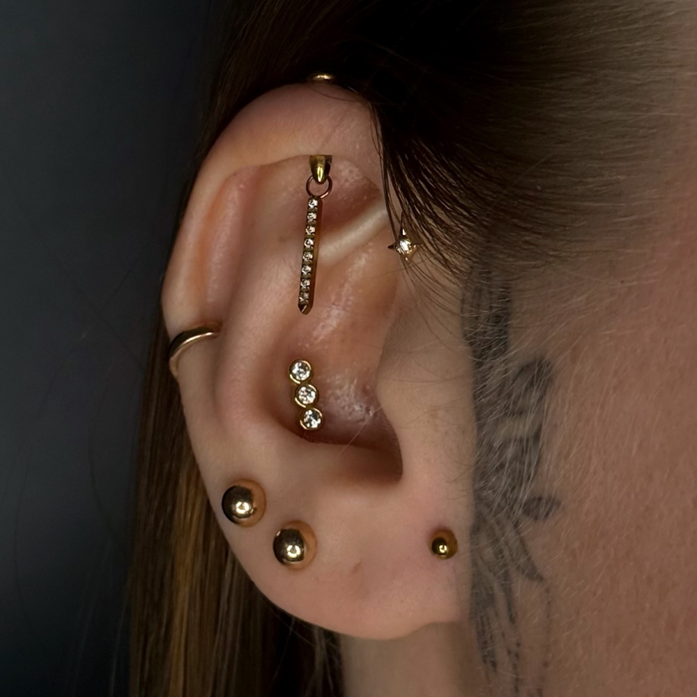 1PC G23 Titanium Verborgen Ver - Rook Curved Barbell recensie en prijs