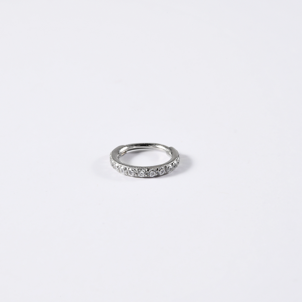 1PC 316L RVS Hoge Kwaliteit Zi - Body Piercing Quality Jewelry recensie en prijs
