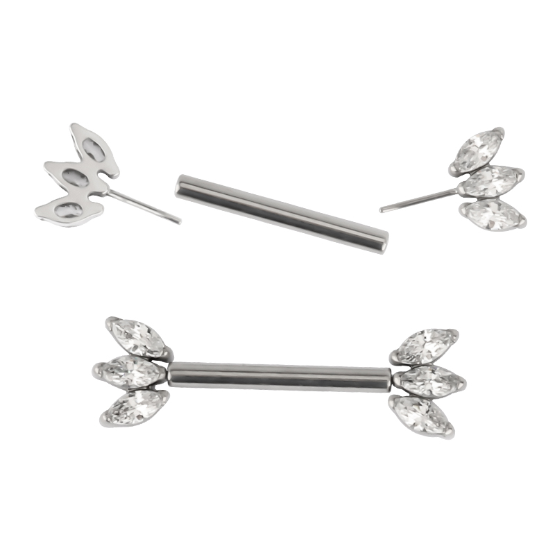 14G ASTM F136 Implantaat Grade - Body Jewelry Implant Grade Titanium recensie en prijs