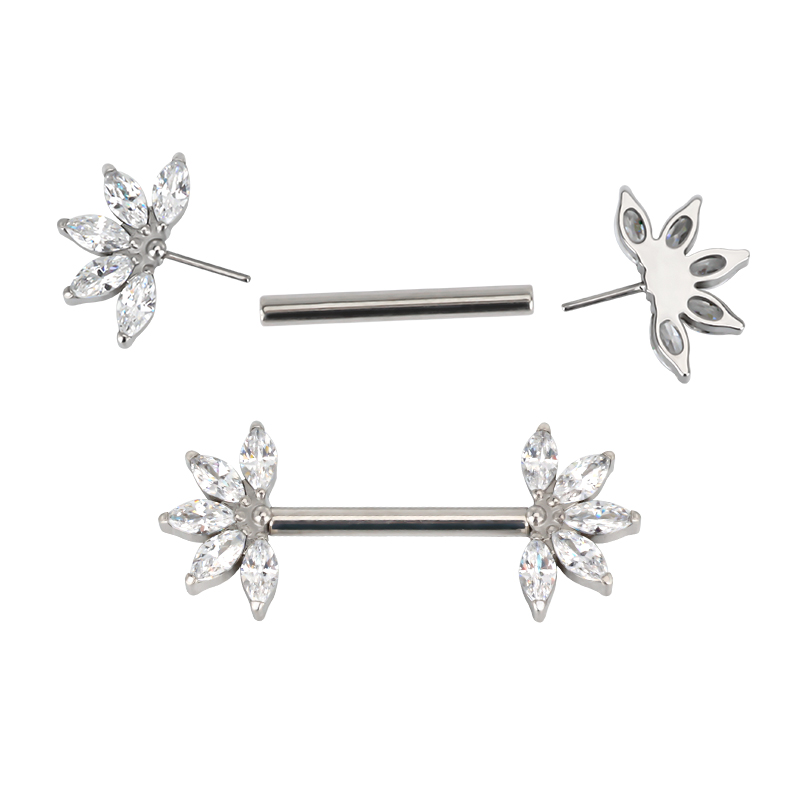 14G ASTM F136 Implantaat Grade - Body Jewelry Implant Grade Titanium recensie en prijs