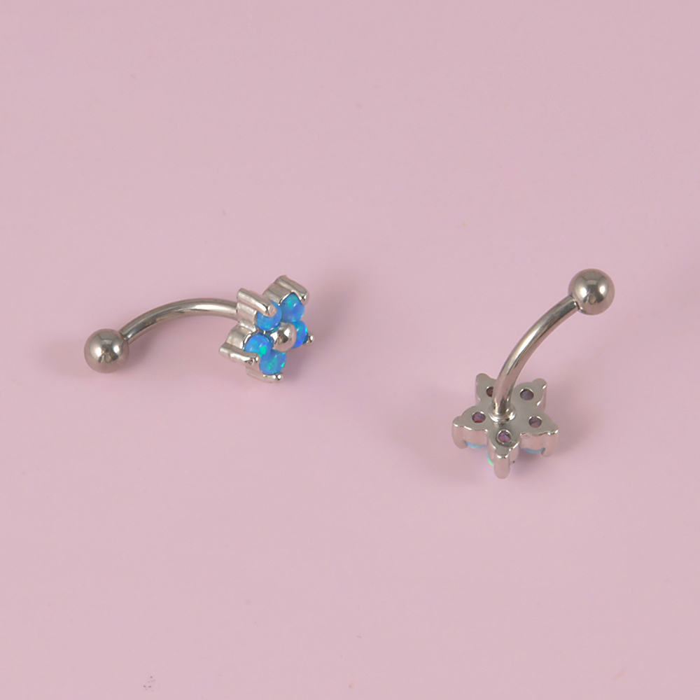 1Pc G23 Titanium 16G Crystal B - Rook Curved Barbell recensie en prijs