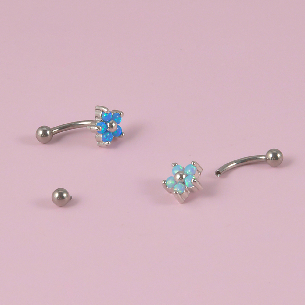 1Pc G23 Titanium 16G Crystal B - Rook Curved Barbell recensie en prijs