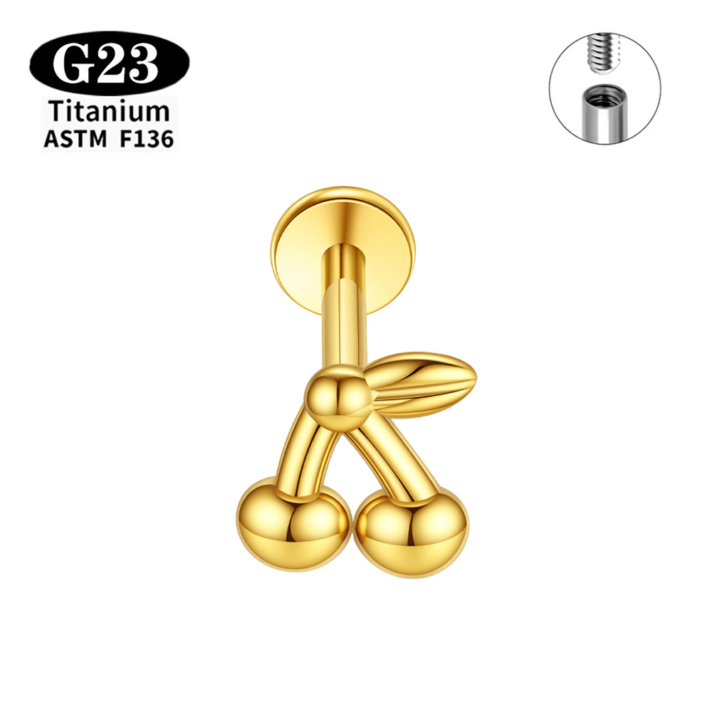 Implantaatgraad ASTM F136 Tita - Body Jewelry Implant Grade Titanium recensie en prijs