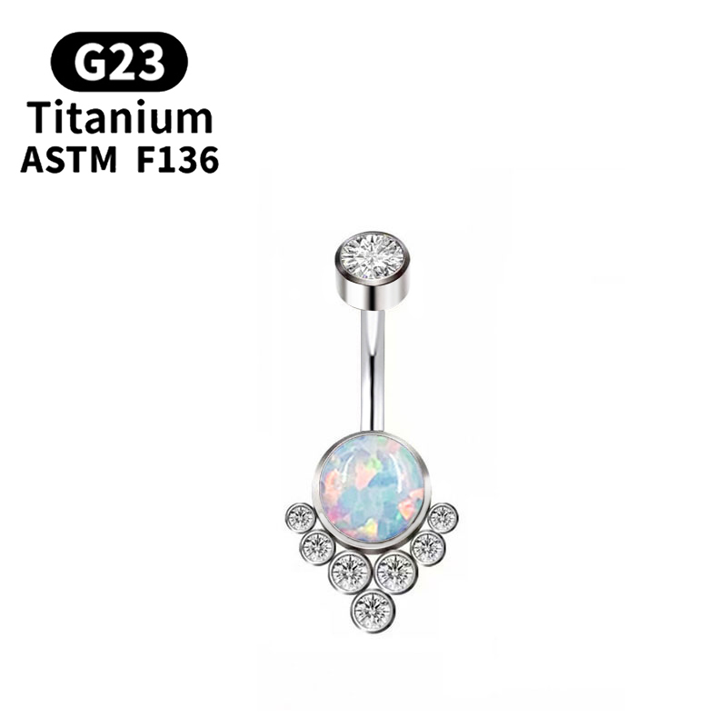 G23 Titanium Piercing Titanium - Body Jewelry Implant Grade Titanium recensie en prijs