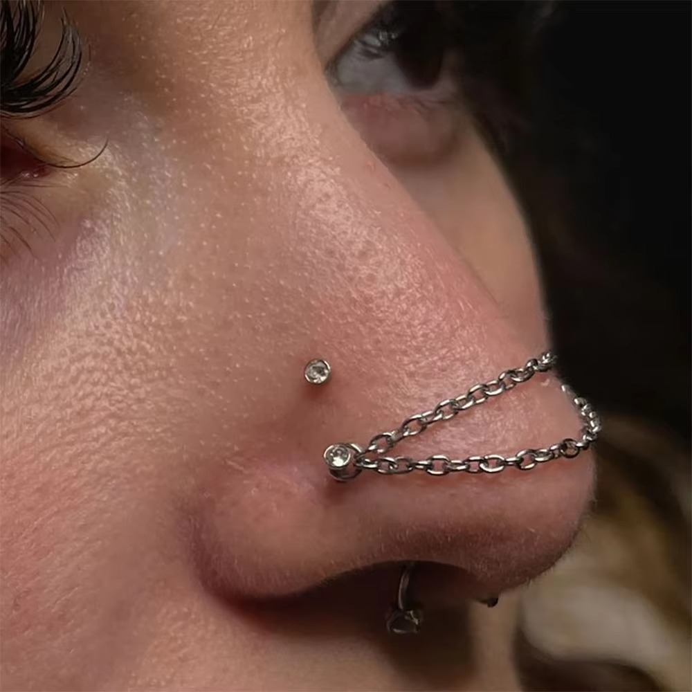 Mode Titanium Neusketting Dubb - Body Jewelry Nose recensie en prijs
