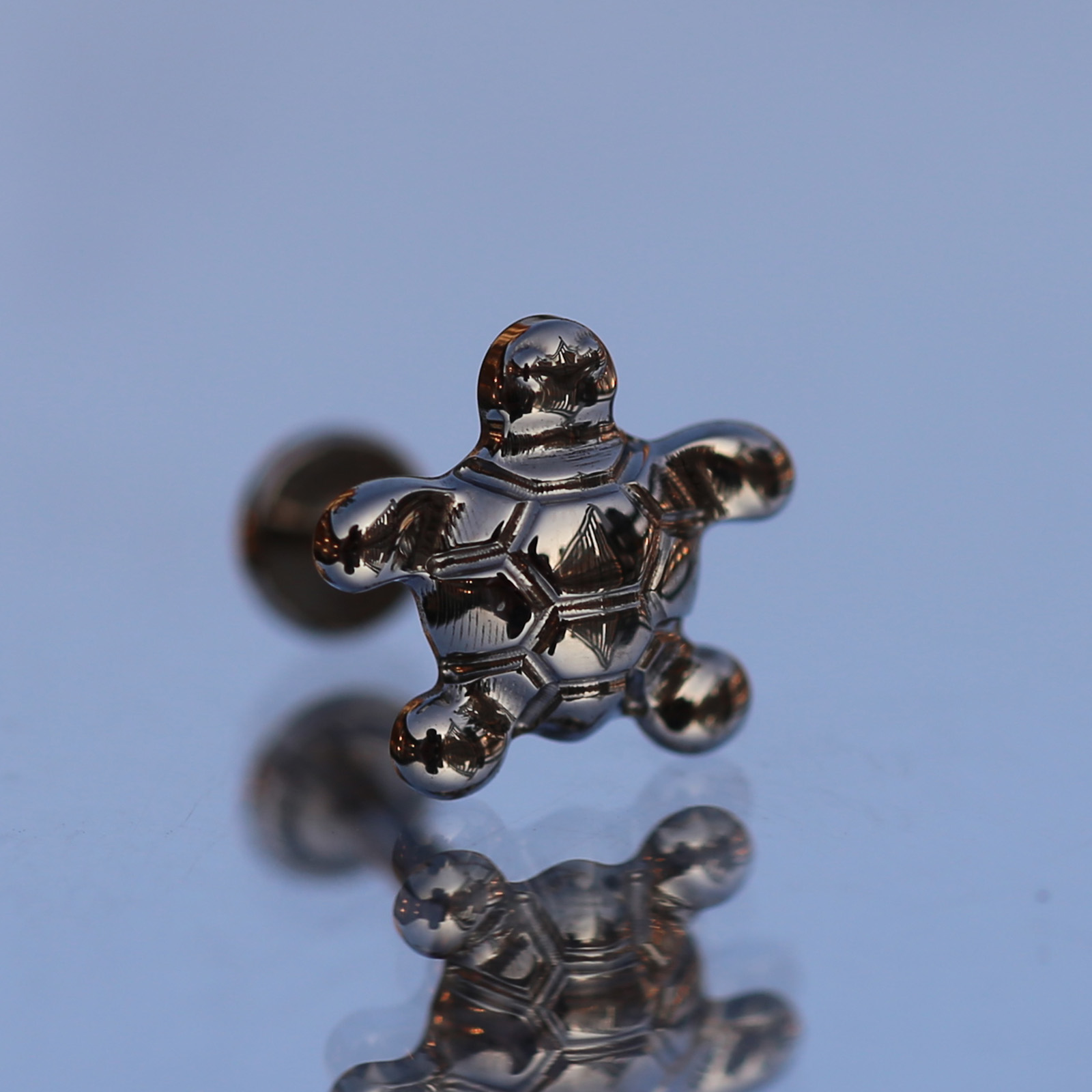 16G Implantaat Kwaliteit Titan - Body Jewelry Implant Grade Titanium recensie en prijs