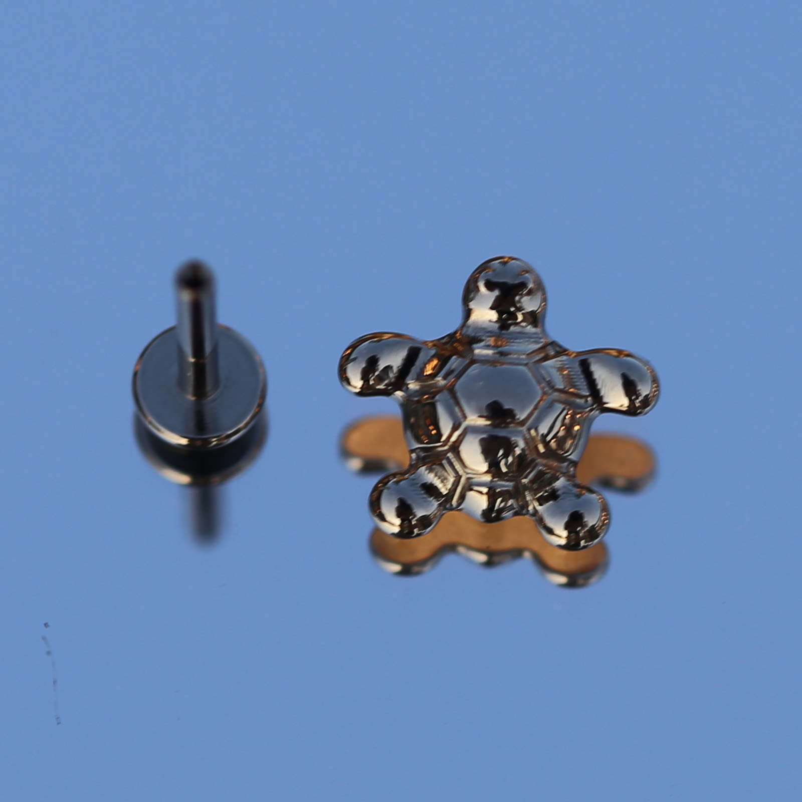 16G Implantaat Kwaliteit Titan - Body Jewelry Implant Grade Titanium recensie en prijs
