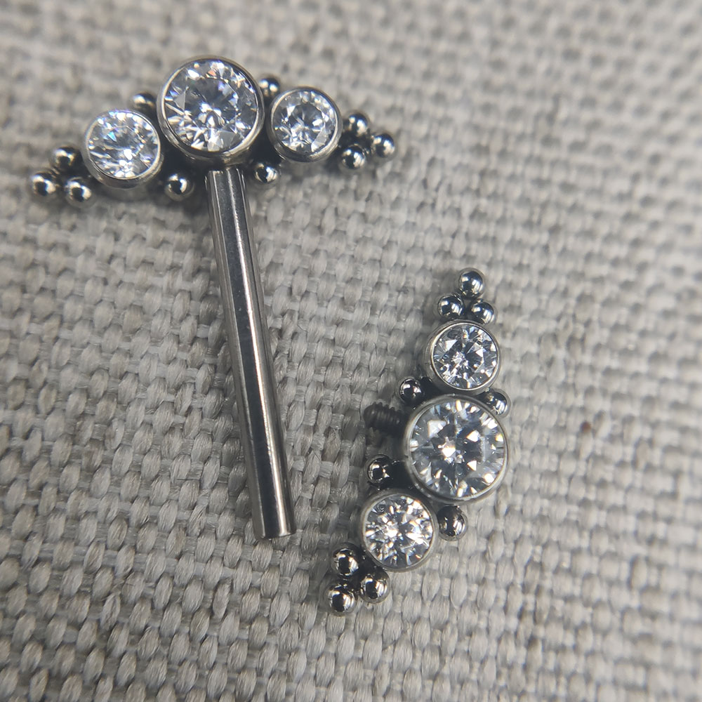 14G Implant Grade Titanium Ast - Body Jewelry Implant Grade Titanium recensie en prijs
