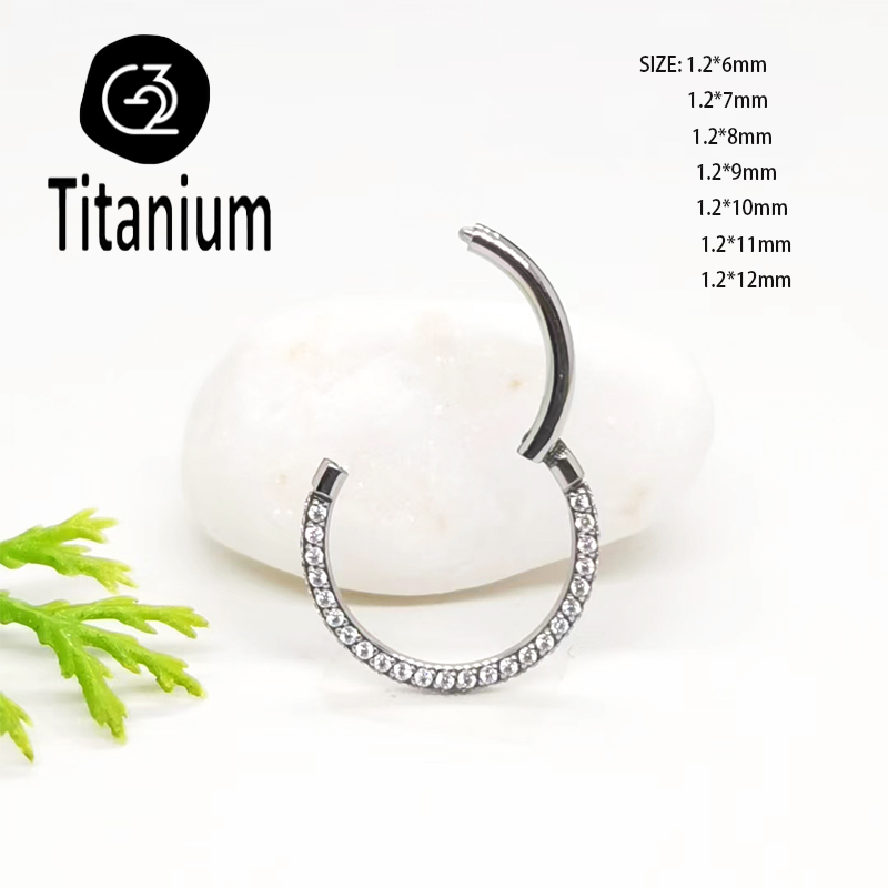 ASTM F136 G23 Titanium Piercin - Body Piercing Quality Jewelry recensie en prijs
